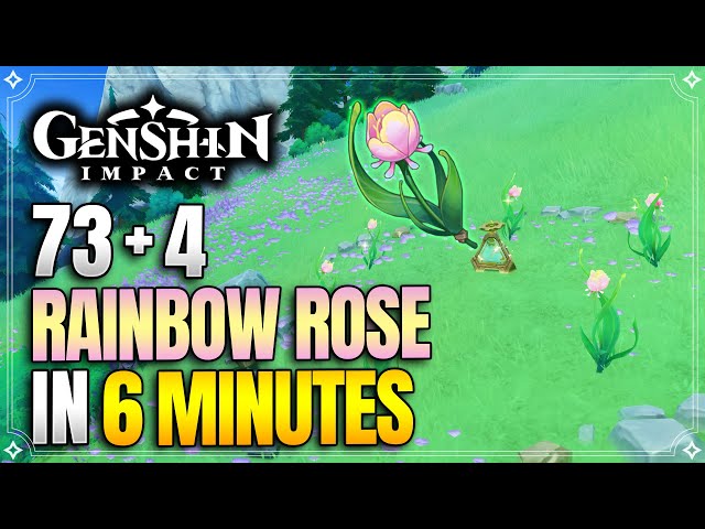 Rainbow Rose Locations | Fast and Efficient Route | Arlecchino Ascension Materials |【Genshin Impact】