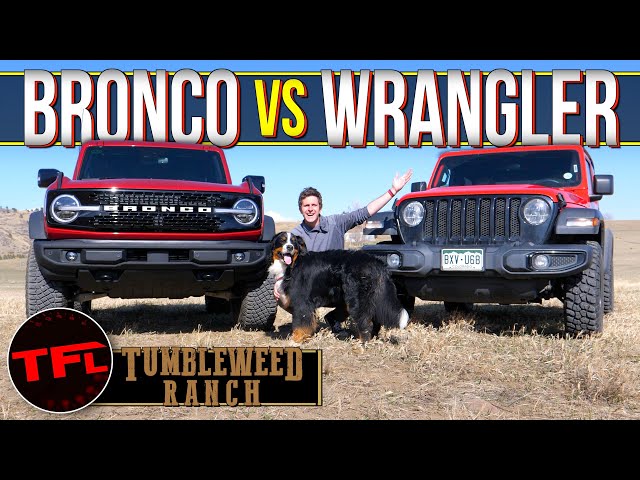 Cheap Jeep vs Expensive Bronco: Can My Little Wrangler Keep Up With The Mighty Bronco Off-Road?
