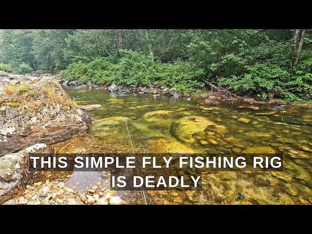 This simple ONE FLY rig is deadly anywhere you fly fish!