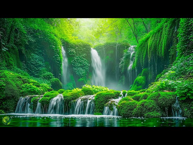 Soft Healing Music for Health and Calming of the Nervous System, Relief Stress, Deep Relaxation #10