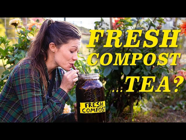 DIY Compost Tea Brewer is the answer to many Garden Problems