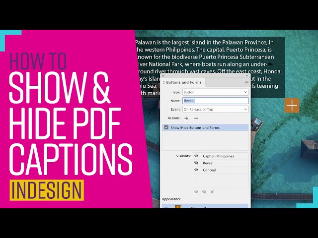 Create interactive show/hide captions in indesign