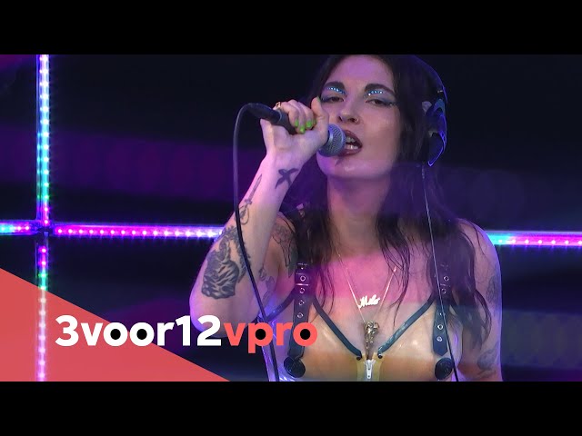 Mila V - Live at 3voor12 Radio