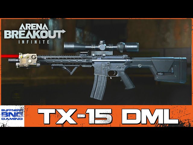 Lone Star Armory TX-15 DML - Weapon Conversion - Arena Breakout Infinite