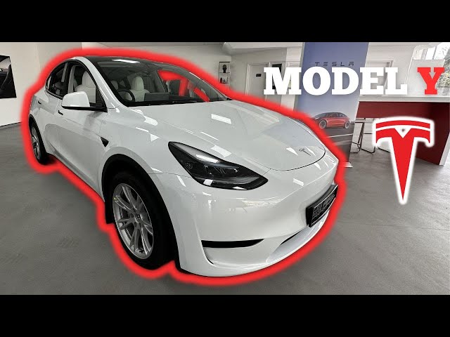 2023 Tesla Model Y | Exterior - Interior - Infotainment System