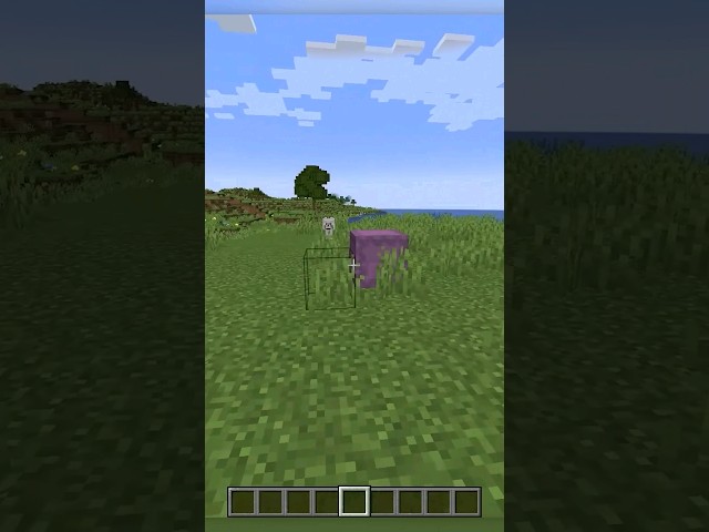 Can You Turn Minecraft Shulkers Invisible? 🤔 #minecraft