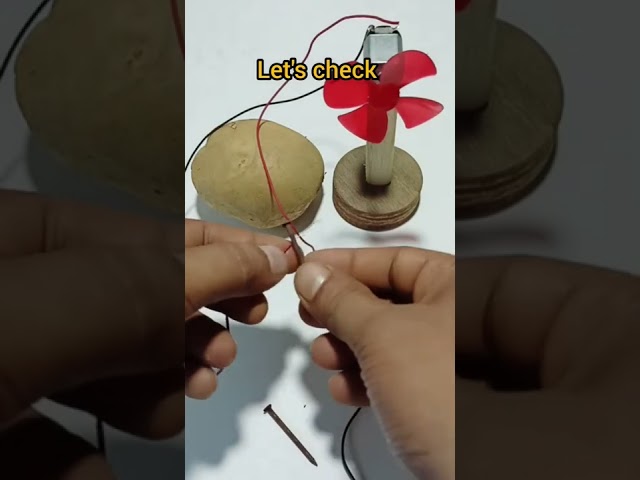 Potato free energy with Dc motor|It's true or fake??🤔|#trending #viral #experiment #shorts #hack