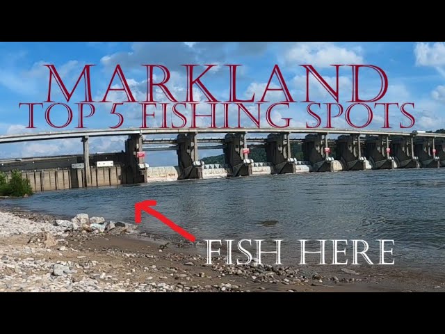 Markland dam Top 5 bank fishing spots