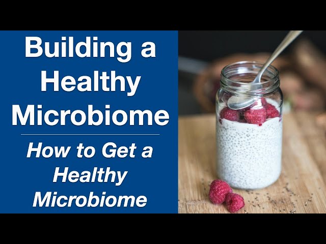 How to Build a Healthy Gut