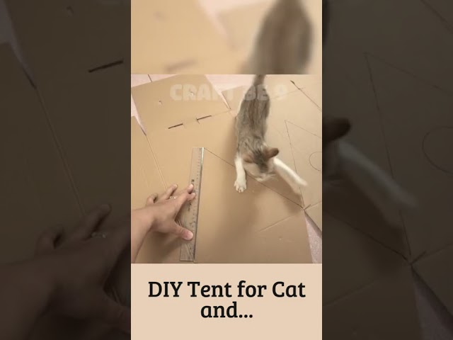 Amazing Kitten Cat Pet House from Cardboard #shorts