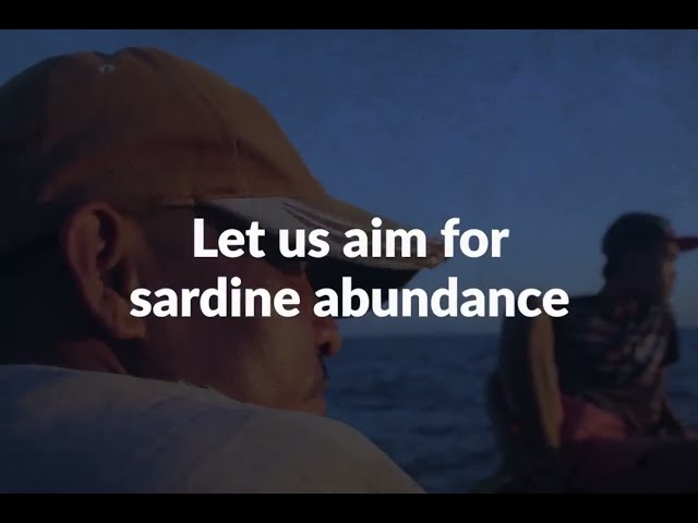 Let Us Aim for Sardine Abundance [ENGLISH subs]