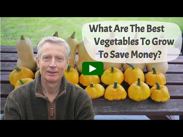 What Are The Best Vegetables To Grow To Save Money? Includes Growing And Cooking Tips.