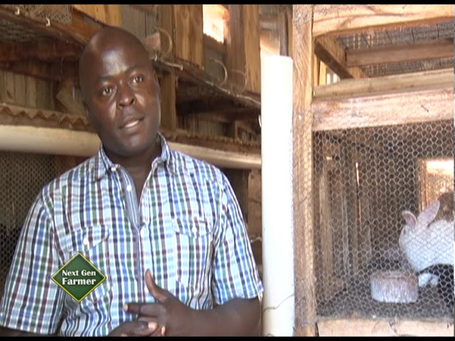 Cashing it big from Rabbit business - Shadrack Mwendwa Part 1