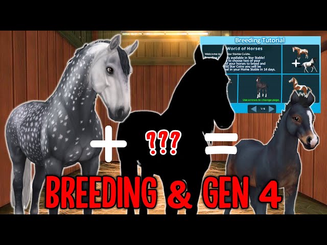*BREEDING* GENERATION 4 HORSES COMING TO STAR STABLE!! HORSE CUSTOMIZATION, PERSONALITIES & MORE