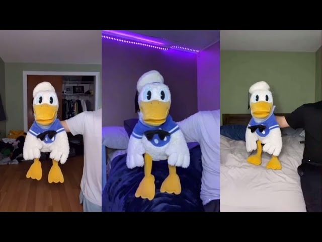 10 Minutes Of Donald Duck TikToks (DONT LAUGH OR SMILE)