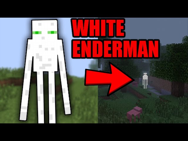 Wie FINDET man den WHITE ENDERMAN in MINCRAFT? Minecraft Mythen Deutsch
