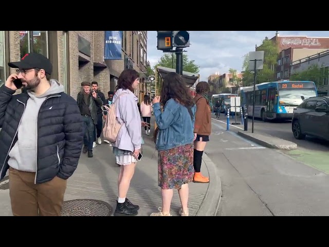 [4K] Montréal May 2024 Montréal Saint-Denis Walking Tour|Montréal  Restaurants and Cafes|4K 60FPS