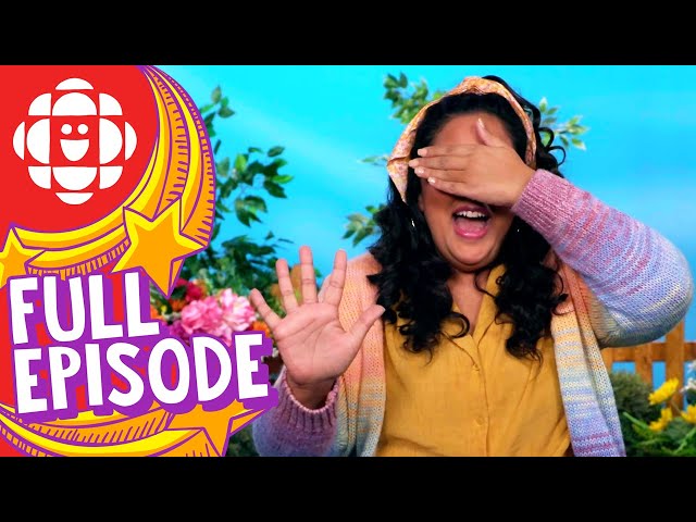 Silly Paws | Hide & Seek | CBC Kids