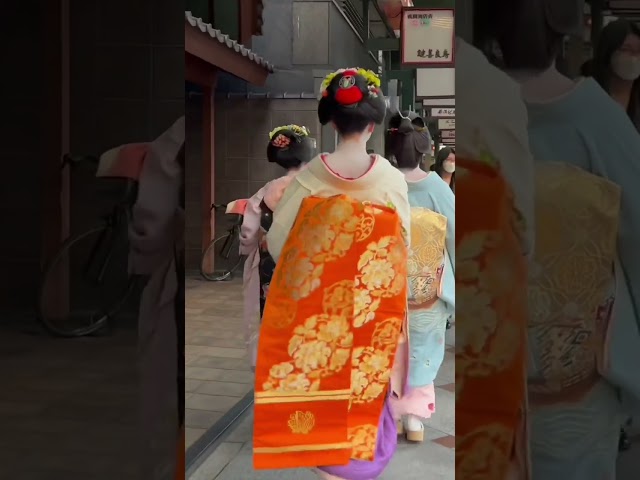 四条通りを往くだらりの帯の舞妓さん #京都 #舞妓