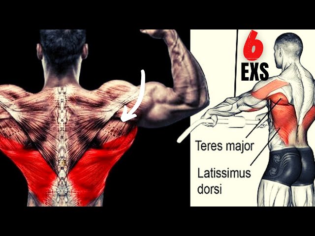 6 Cable Exercises For a Bigger Back - MUSCLE EMOTION