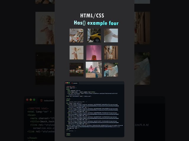 images gallery project html css | Responsive images gallery hover effect in html css & js #html #js