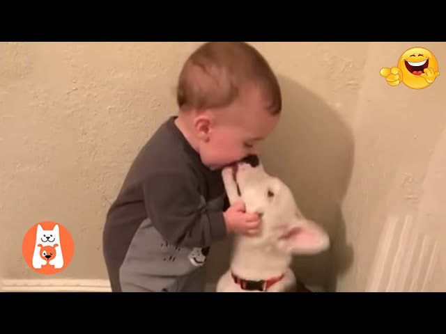 Videos Graciosos de Perros y Bebés 😂 Bebés y Cachorros Creciendo Juntos #3 | Espanol Funniest Videos