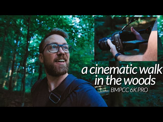A Cinematic Walk in the Woods // BMPCC 6k Pro + Sigma 24-70mm ART
