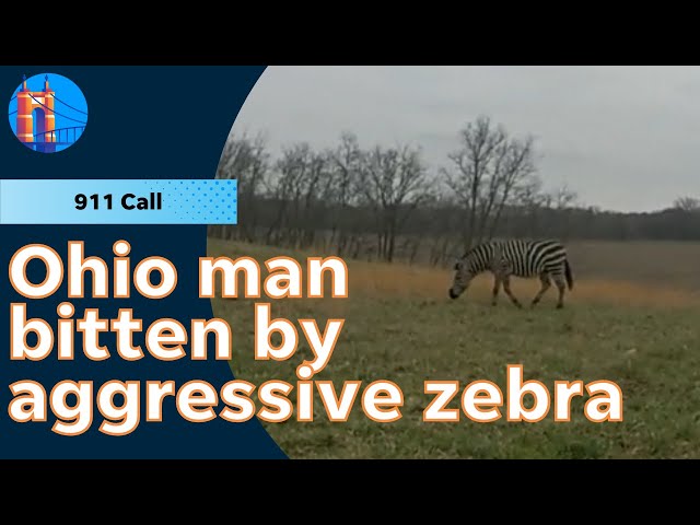 Ohio man hospitalized after a zebra nearly bit his arm off | 911 call