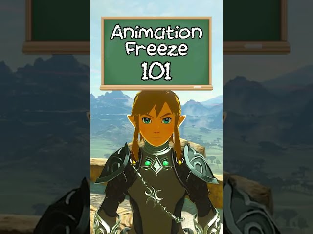 Animation Freeze 101 | Breath of the Wild Glitches
