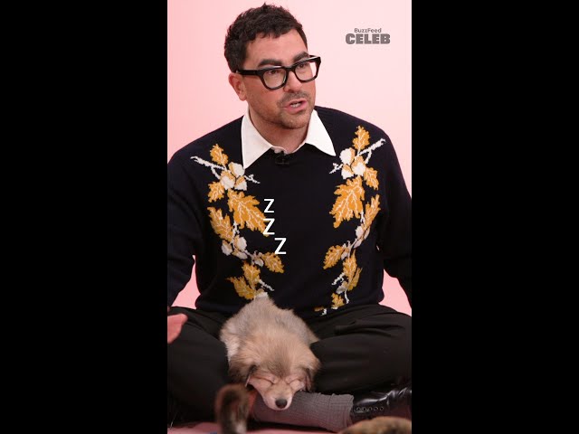 I want Dan and Eugene Levy to be my celebrity friends... #DanLevy #PuppyInterview