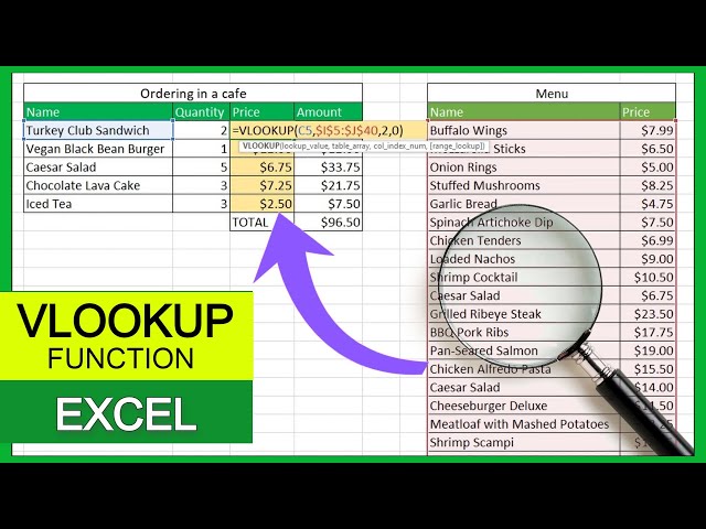 How to use the VLOOKUP function in Excel | Detailed guide for beginners