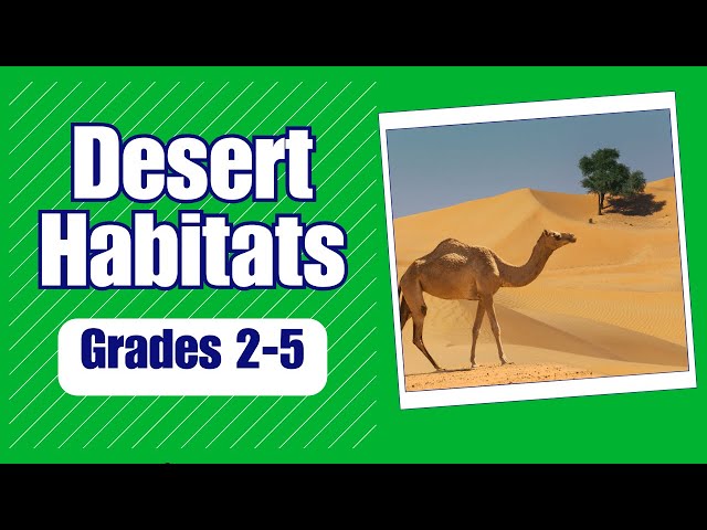 Desert Habitats: Learn about the plants and animals that call the desert their home