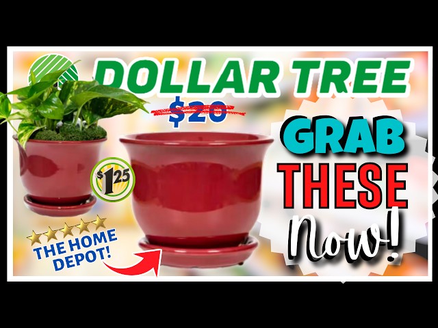 🔥 DOLLAR TREE HAUL Worthy FINDS That You MUST Grab NOW! New NAME BRANDS & Never Seen Before ARRIVALS