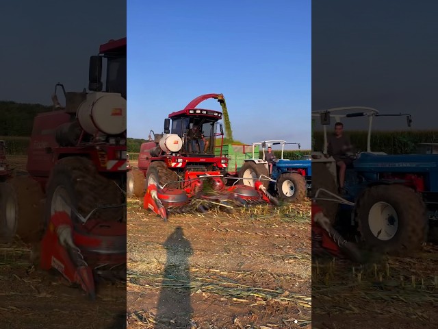 Case #häcksler und Ford #traktor #agrarvideosschwaben #landwirtschaft #agriculture