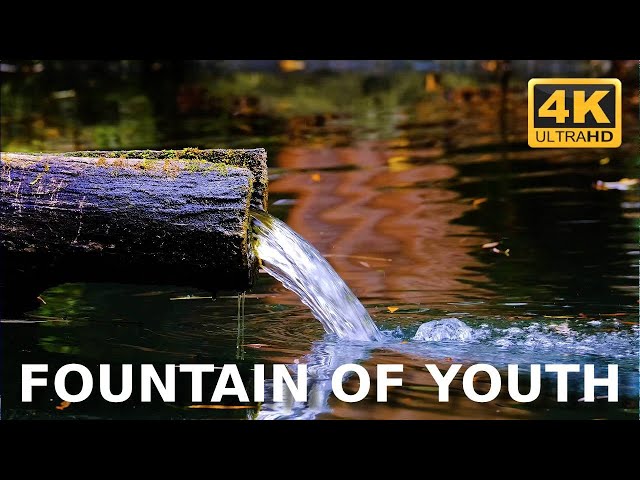 Fountain of Eternal Renewal: Rejuvenate your Body and Soul | Feel the Healing Power of its Water