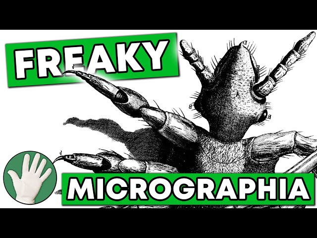 Freaky Micrographia - Objectivity 43