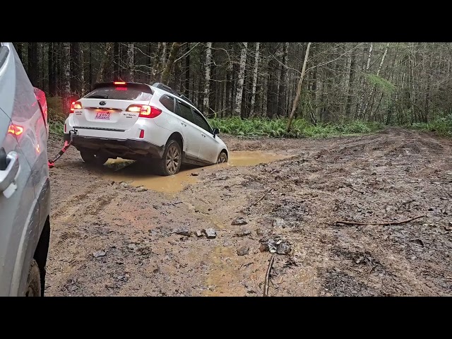 Stuck in mud