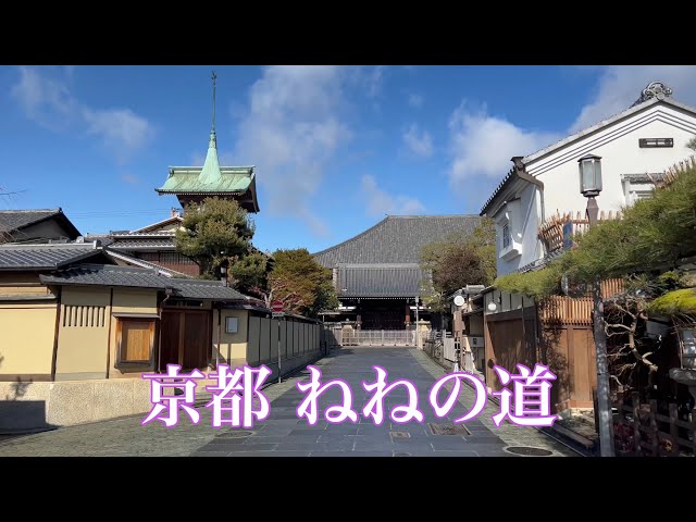【大寒の京都を巡る】ねねの道から知恩院まで散策 Touring Kyoto 2022年1月20日 【4K】