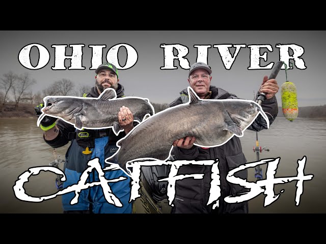 Wintertime Blues | Ohio River Catfishing
