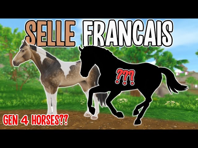 FIRST GEN 4 HORSES?? NEW *SELLE FRANCAIS*: ALL COAT COLORS, MODEL, GAITS, PRICE & MORE INFO