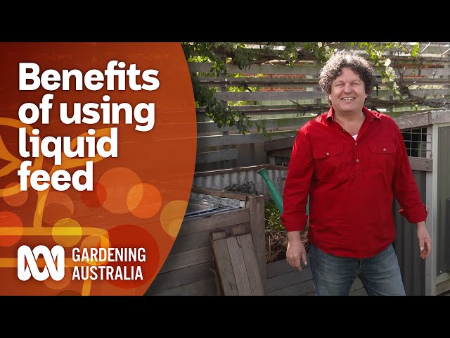 Why you should be using liquid fertiliser on your hungry crops | Gardening 101 | Gardening Australia
