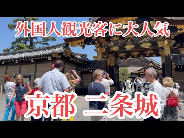 2024年5月18日 外国人観光客に大人気の京都 快晴の二条城を歩く Walking around Nijo Castle in Kyoto 【4K】