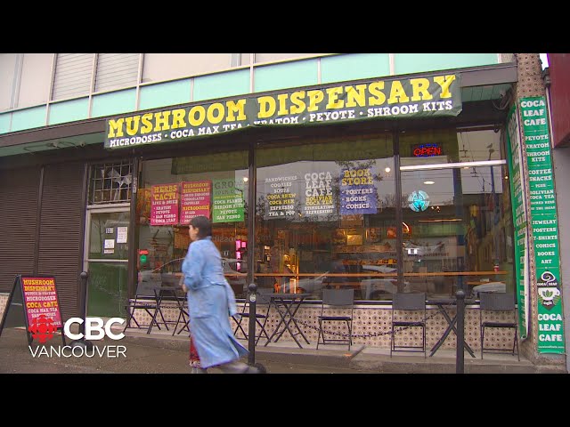 Vancouver sees a boom in magic mushroom dispensaries