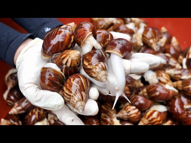 Korean food fried snails, Korean street food