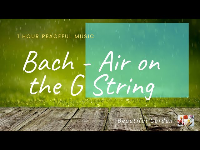 J.S. Bach: Air on the G String | 1 HOUR Relaxation and Study Music