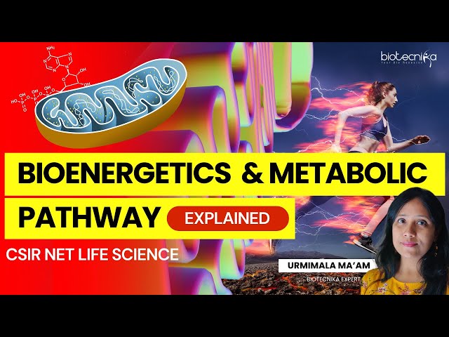 Bioenergetics & Metabolic Pathways Detailed Explanation For CSIR NET Life Science & Other Exams