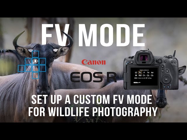 Canon R5 Custom Shooting Mode with Flexible Priority (Fv)