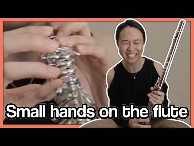Small hand problems on the flute