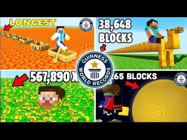 Top 5 World Record Made By Indian Youtubers In Minecraft #Minecraft #World Record