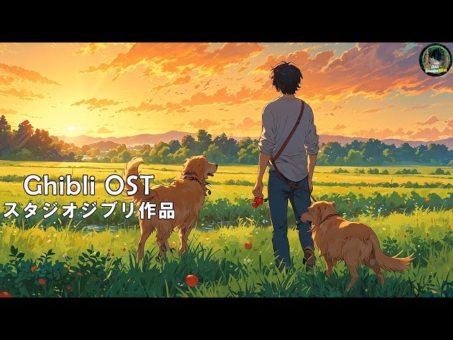 Studio Ghibli Summer Night Piano Collection || Totoro , Kiki , Spirited Away , Princess Mononoke ...